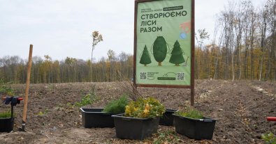 Фото – На Житомирщині за день висадили один мільйон дерев 