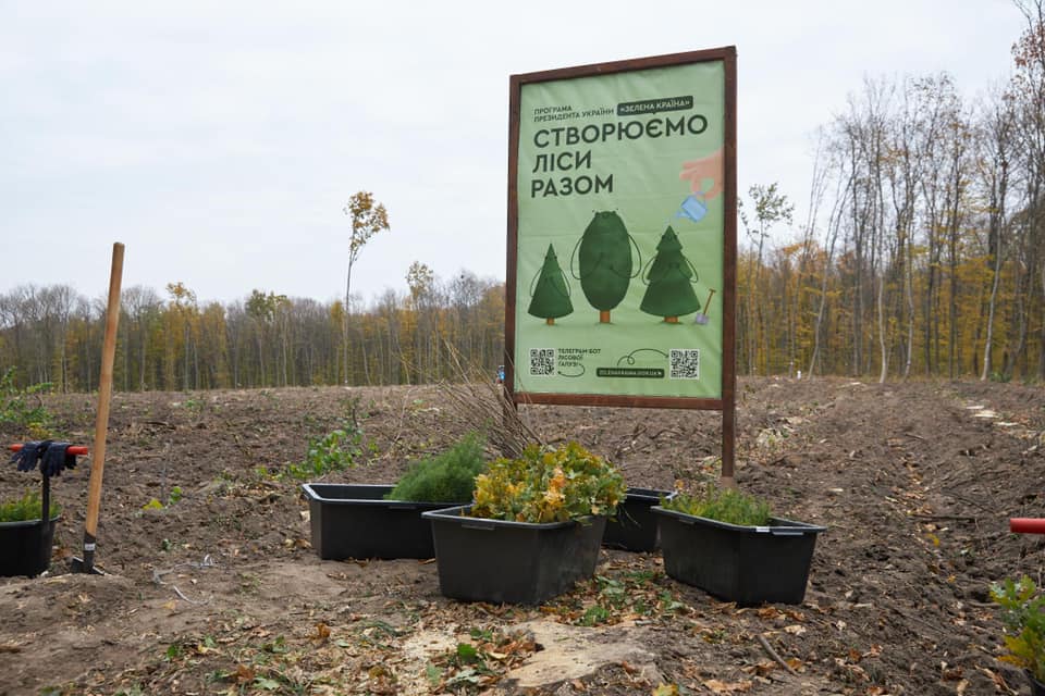 Фото – На Житомирщині за день висадили один мільйон дерев