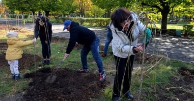 Фото – В Николаеве появилась новая аллея, на которой высадили сотню декоративных деревьев. Фото