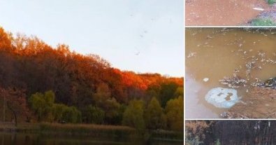 Фото – В київське озеро зливають нечистоти: мешканці бьют на сполох