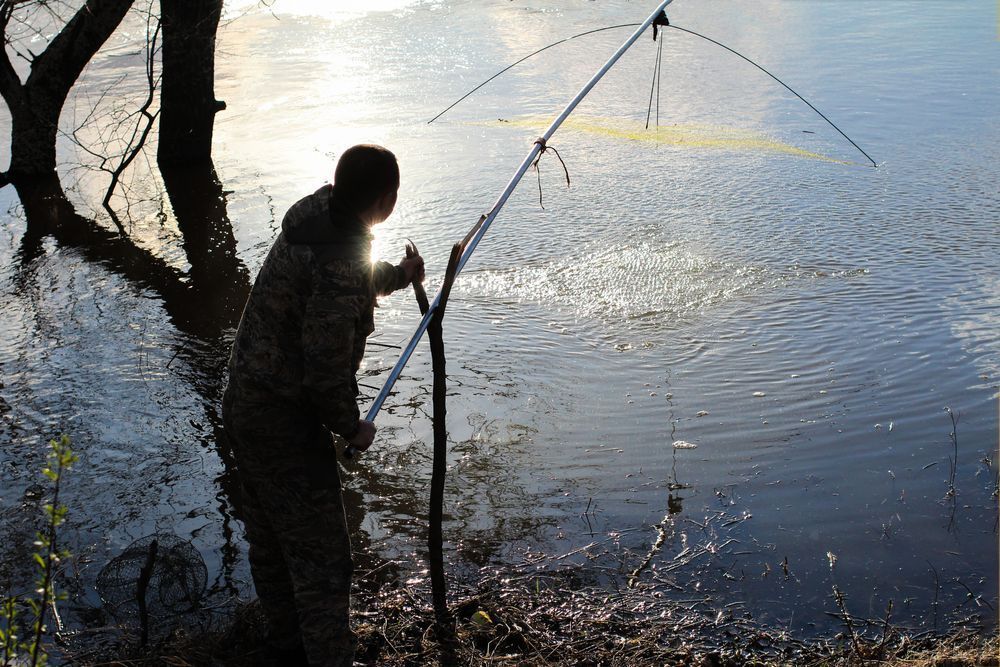 Photo – Poachers in the Armed Forces: the SEI summed up the results of fish protection raids