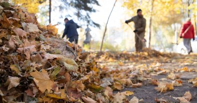 Фото – В Киеве состоялись общегородские осенние толоки: результаты