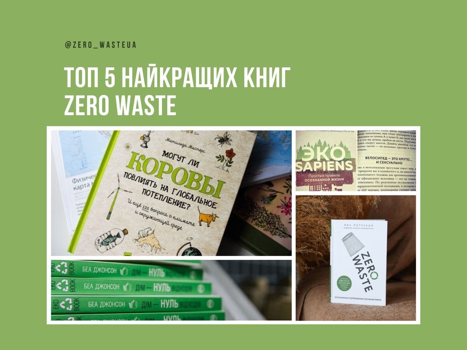 Топ-5 книг об экологии и жизни в стиле Zero Waste | ЭкоПолитика