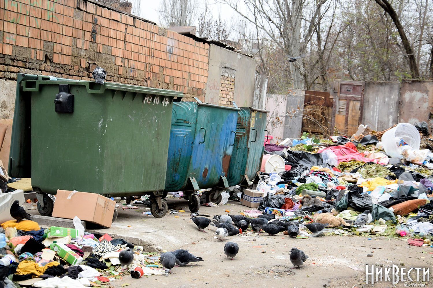Фото – У Миколаєві на ліквідацію стихійних звалищ збираються витратити мільйони гривень