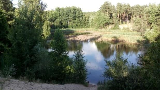 В Киеве появится ландшафтный заказник "Озеро Лосиное"