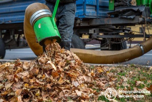 У Маріуполі відправили на утилізацію понад 300 тонн опалого листя. Фото