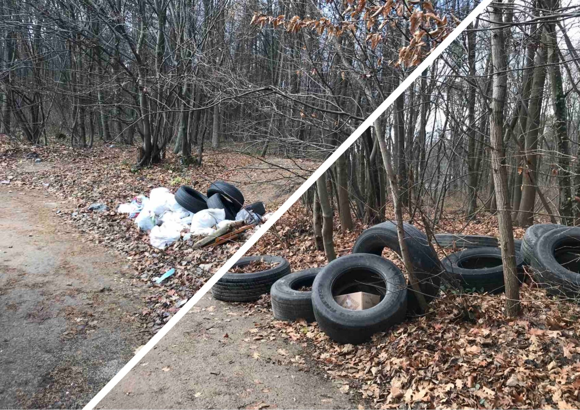 Фото – У Львові влаштували стихійне звалище шин і будівельних відходів. Фото
