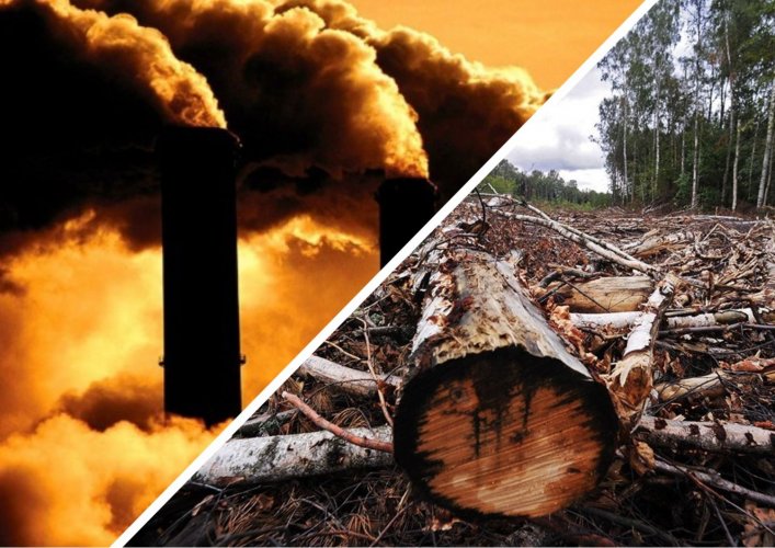 ТОП-10 злочинів проти довкілля у жовтні