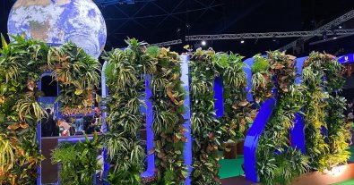 Фото – Климатический саммит в Глазго: о чем договорились участники COP26