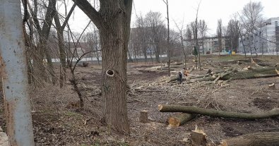 Фото – Парк у центрі Дніпра перетворився на пустку. Відео