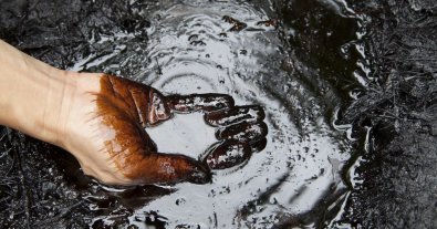 Фото – В Харькове начали замену загрязненной почвы после обстрела нефтебазы в феврале