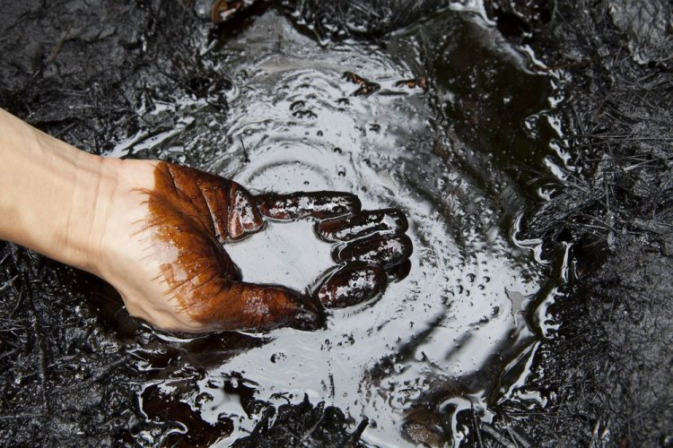 Водія з Одеси підозрюють у забрудненні довкілля нафтовими відходами на півмільйона
