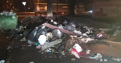 Фото – "Новая почта" угодила в "мусорный" скандал из-за огромной свалки в Днепре. Фото