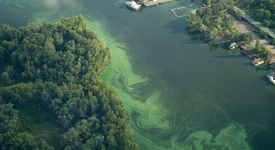 Днепр может исчезнуть из-за загрязнения реки химикатами — НАН