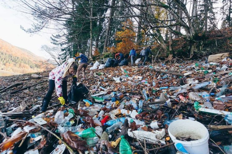 The tributaries of the Tisza river were cleaned from rubbish in Zakarpattia. Photo