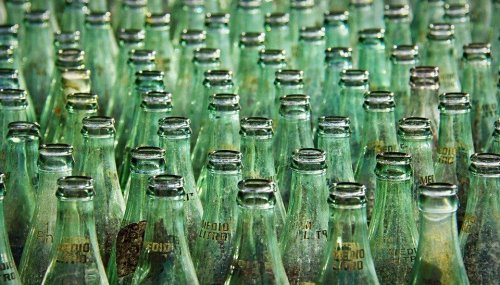 Школярі з Калуша зібрали 123 кг скляних пляшок і виграли приз. Фото