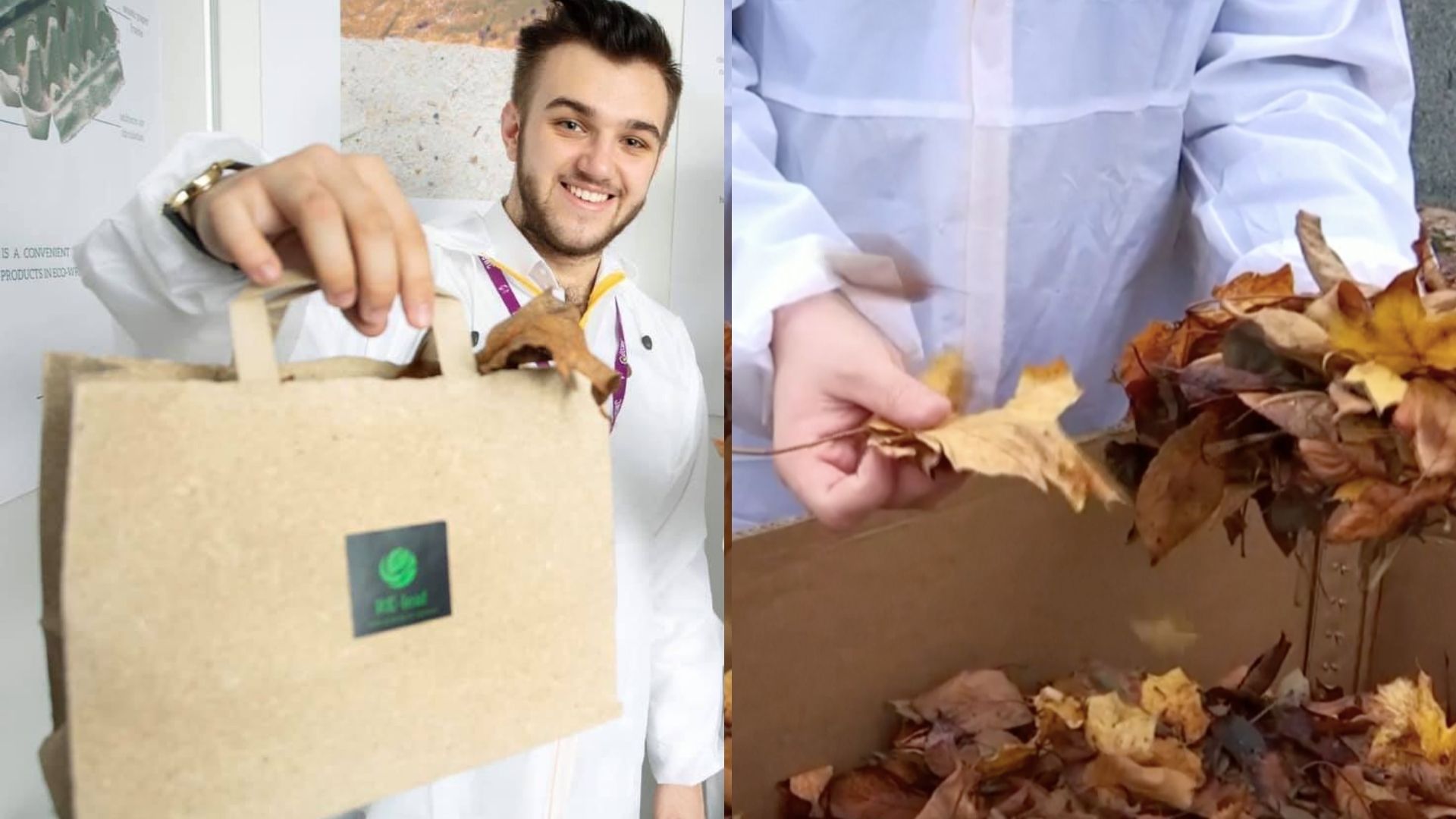 Фото – RE-leaf исчез из виду: основатель украинского экостартапа объяснил почему