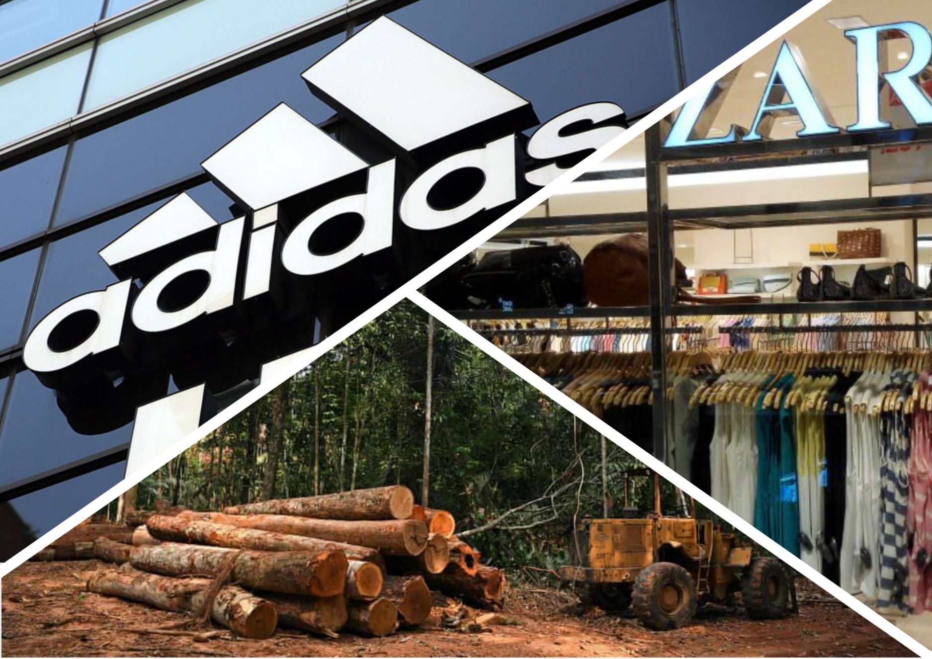 Фото – Adidas, Prada, Zara и другие мировые бренды влипли в экологический скандал