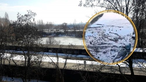 У Києві озеро Пташине залили мазутом
