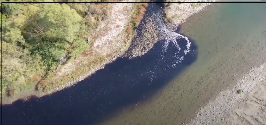 В Ивано-Франковской области река Саджава стала черной: экоактивисты просят помощи (видео)