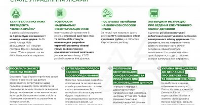 Photo – What was 2021 like in the field of forest management