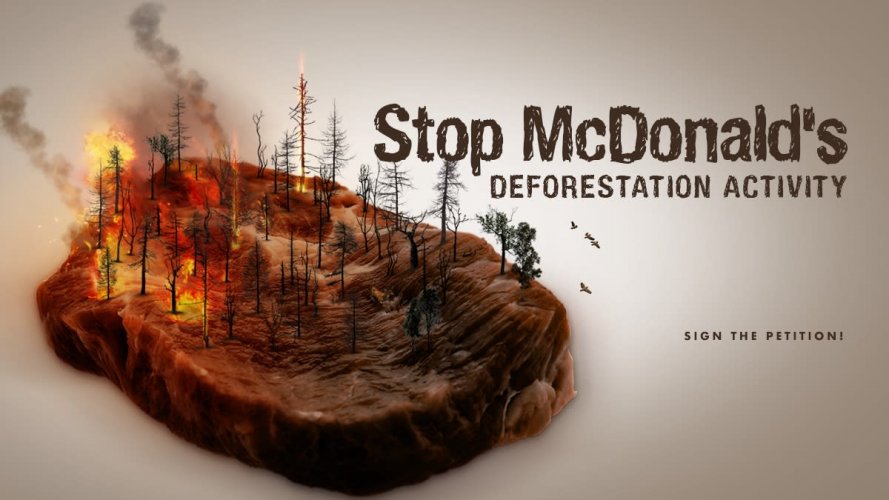 Центральный сквер в Кропивницком хотят уничтожить для McDonald's: появилась петиция