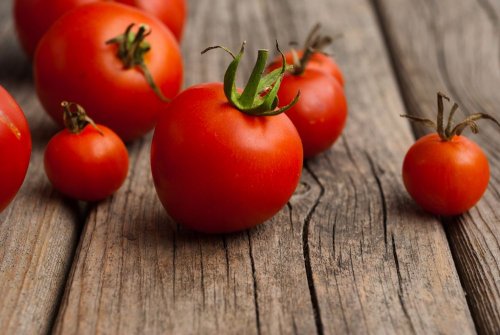 В Испании ученые создали “томатный” пластик