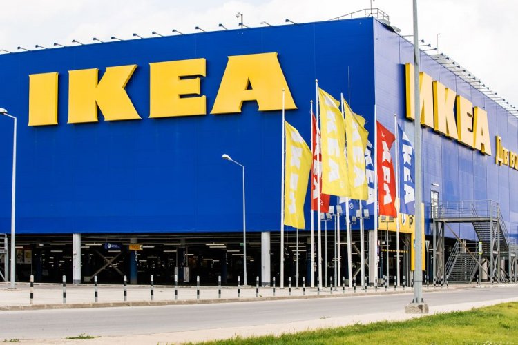 Швеція обурена: нове розслідування про незаконну Карпатську деревину “IKEA”