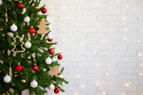 Экоинспекторы рассказали, как правильно утилизировать новогоднюю елку