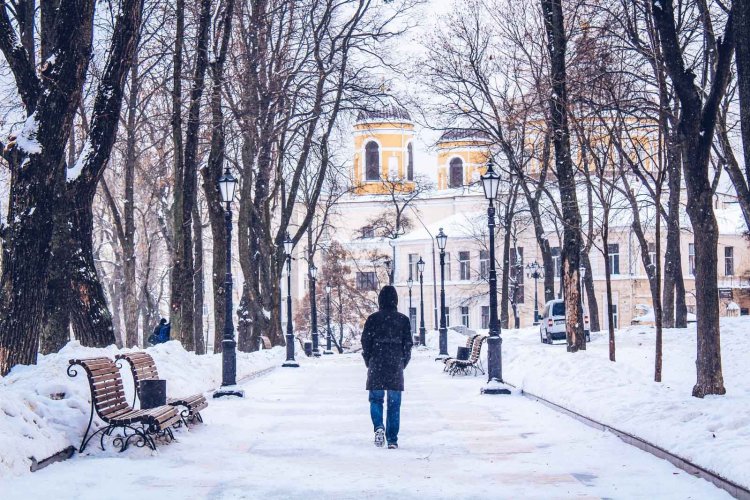 Снежной зимы не будет: эксперт озвучила худший сценарий изменения климата в Украине