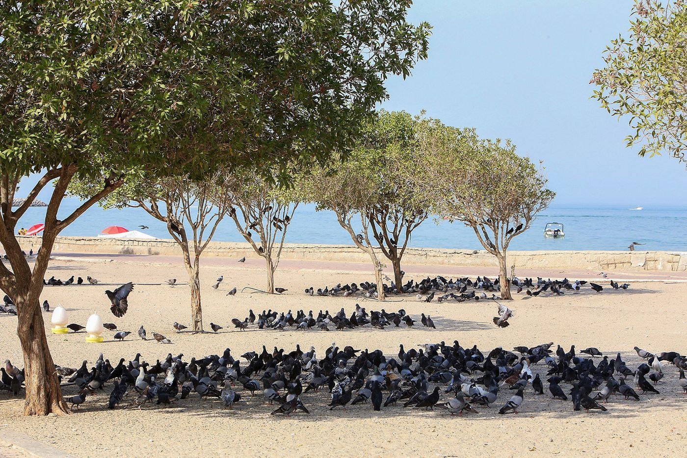 Photo – Mobile "climate islands" will save Spaniards from the heat