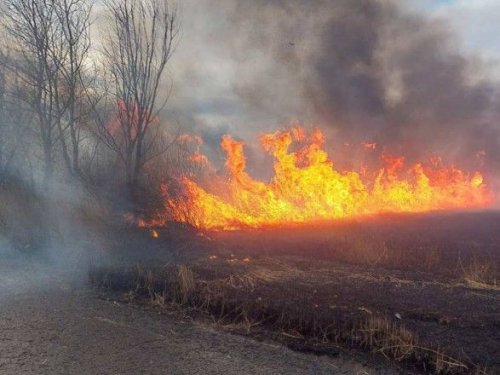 В Нижнеднестровском заповеднике в Одесской области произошел масштабный пожар (видео)