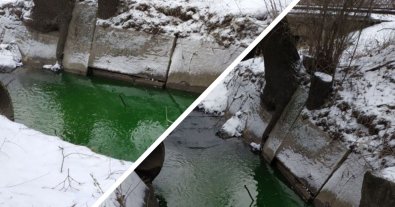 Фото – В Киеве позеленела река Сырец: коммунальщики взяли пробы воды
