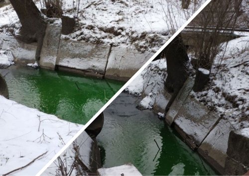У Києві позеленіла річка Сирець: комунальники взяли проби води