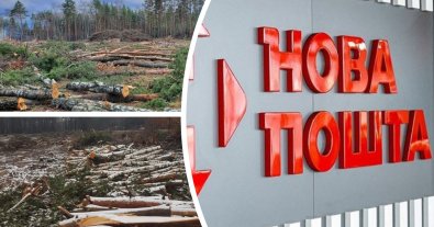 Фото – "Новая почта" прокомментировала скандал с вырубкой леса