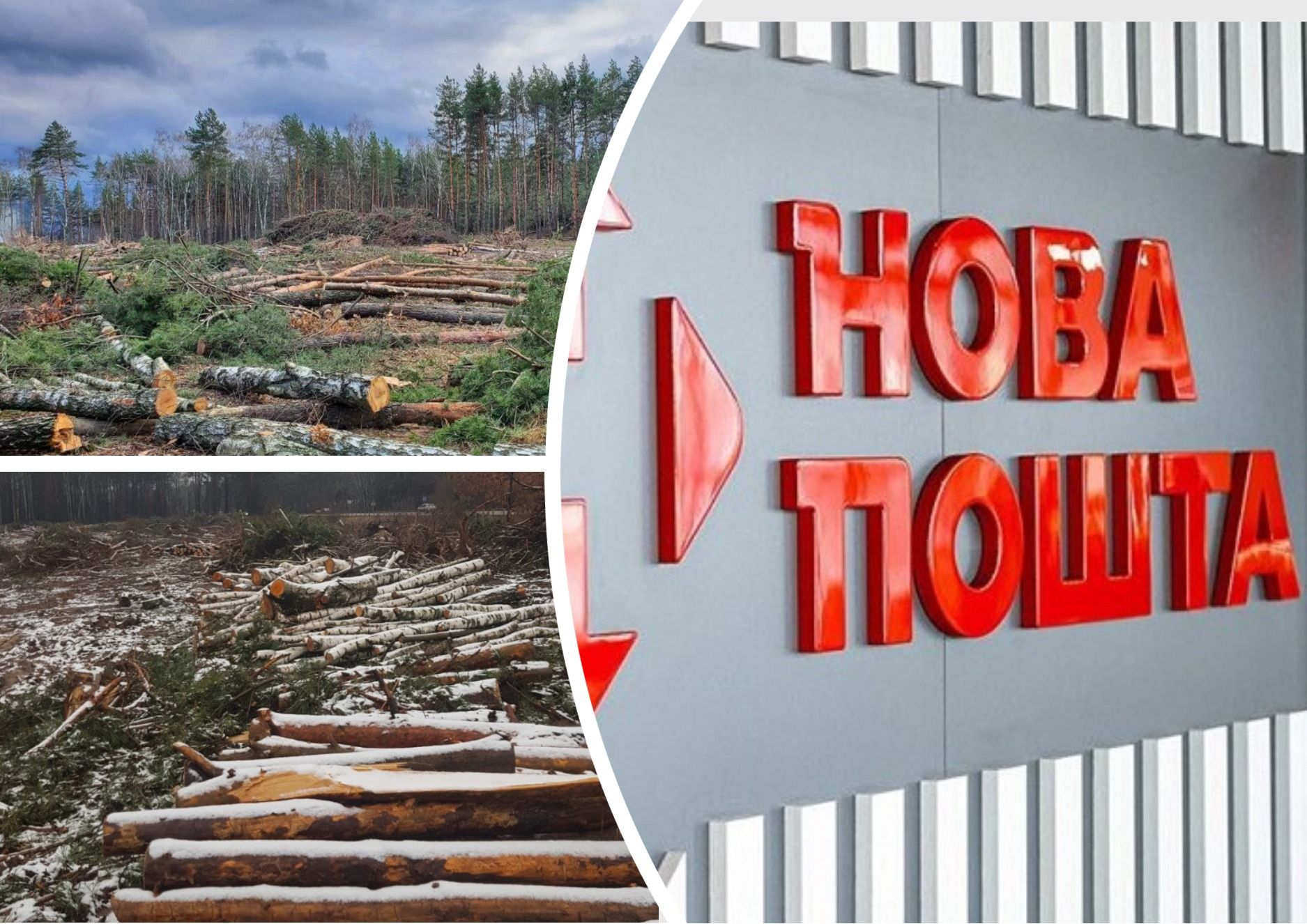 Фото – "Новая почта" прокомментировала скандал с вырубкой леса