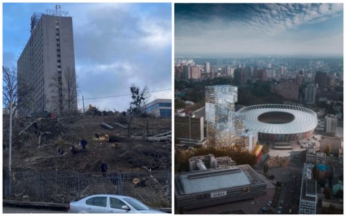 В Киеве семья бизнесмена "из 90-х" вырубила деревья на склоне возле "Олимпийского"