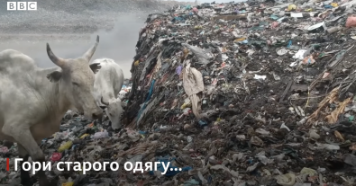 Фото – Как модная одежда превращается в мусор и загрязняет океан (фото, видео)