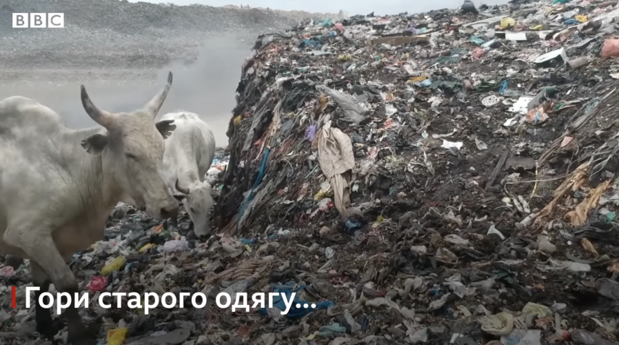 Как модная одежда превращается в мусор и загрязняет океан (фото, видео)