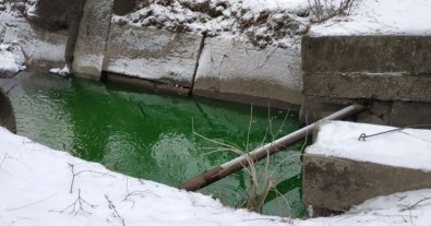 Фото – Река Сырец в Киеве внезапно позеленела. Фотофакт