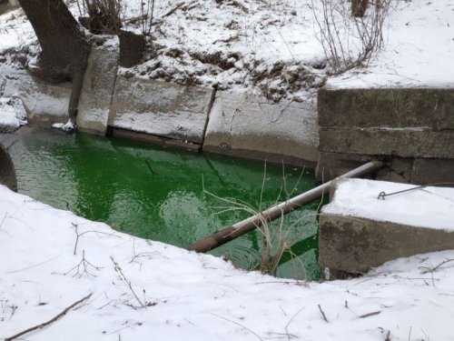 Река Сырец в Киеве внезапно позеленела. Фотофакт
