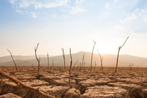 Деградация и опустынивание: как война и климат уничтожают почву в Украине