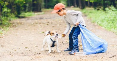 Photo – Volunteers removed tons of garbage from Kyiv's protected forest