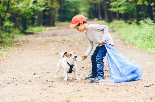 Volunteers removed tons of garbage from Kyiv's protected forest