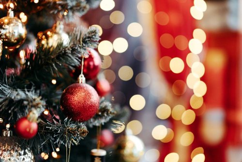 В Одессе новогодние елки можно будет обменять на сладости: список адресов