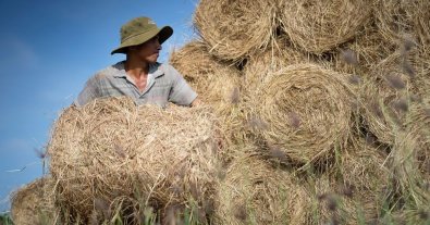 Photo – The easiest way to achieve energy independence of Ukraine