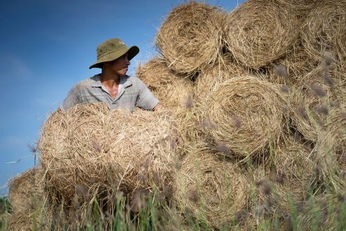 На Волині сільрада буде опалювати приміщення соломою