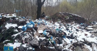 Фото – В Трускавце стихийная свалка нанесла 67,5 млн грн ущерба