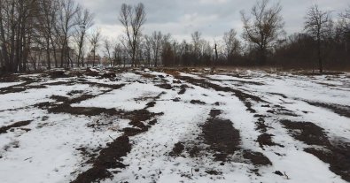 Фото – Дикий лес "полысел": в Киеве вырубили деревья на Оболонском острове