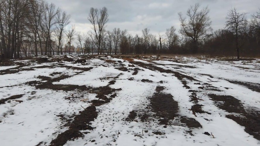 Дикий лес "полысел": в Киеве вырубили деревья на Оболонском острове